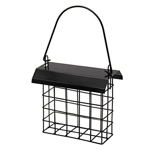 FORUP Suet Bird Feeder, Hanging Suet Feeder, Single Suet Cake Bird Feeder, One Suet Capacity