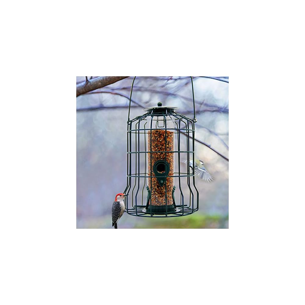 FORUP Caged Tube Feeder, Squirrel Proof Wild Bird Feeder, Outdoor Birdfeeder with Large Metal Seed Guard Deterrent for Large Birds, Green