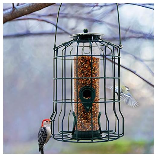 FORUP Caged Tube Feeder, Squirrel Proof Wild Bird Feeder, Outdoor Birdfeeder with Large Metal Seed Guard Deterrent for Large Birds, Green