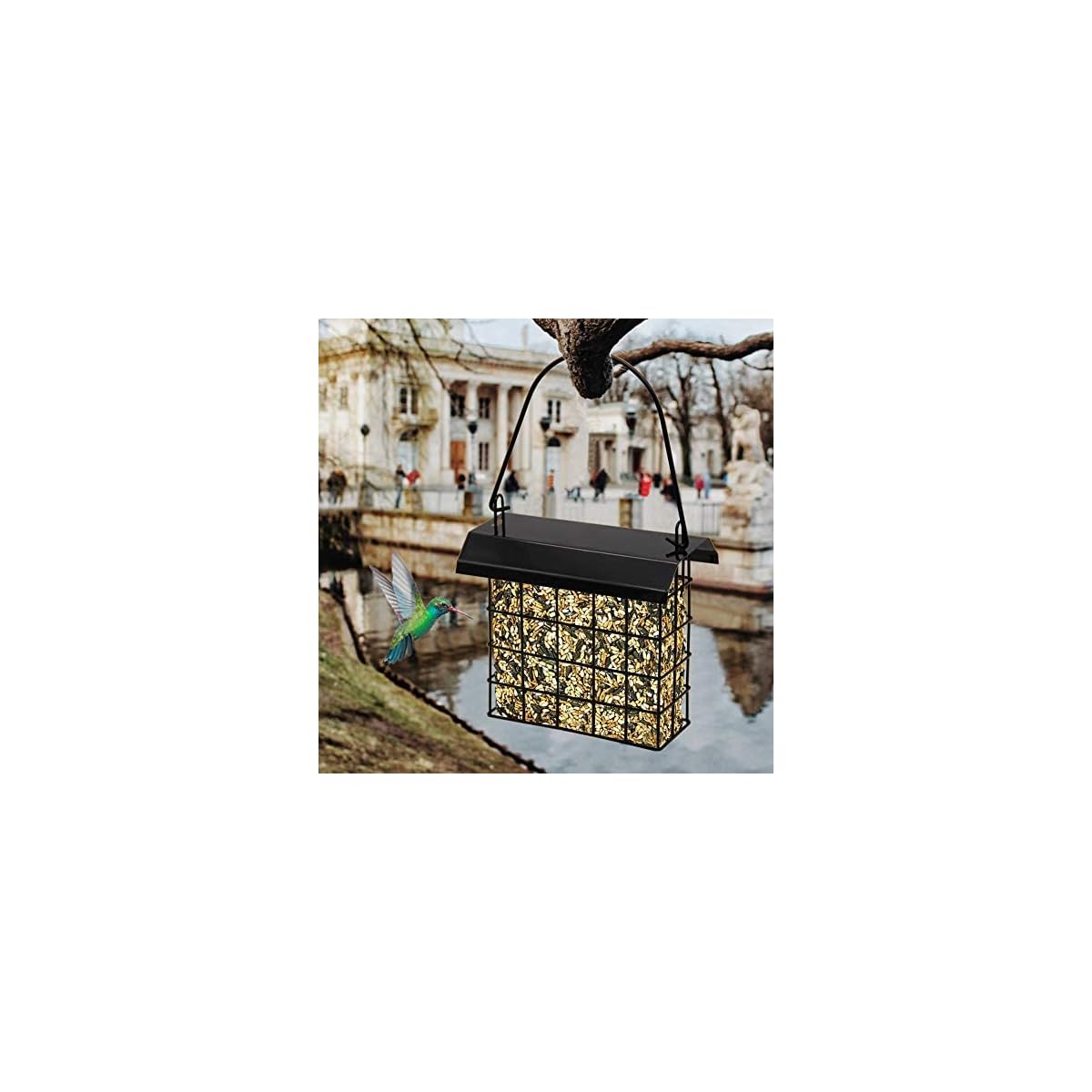 FORUP Suet Bird Feeder, Hanging Suet Feeder, Single Suet Cake Bird Feeder, One Suet Capacity - imagen de detalle 1
