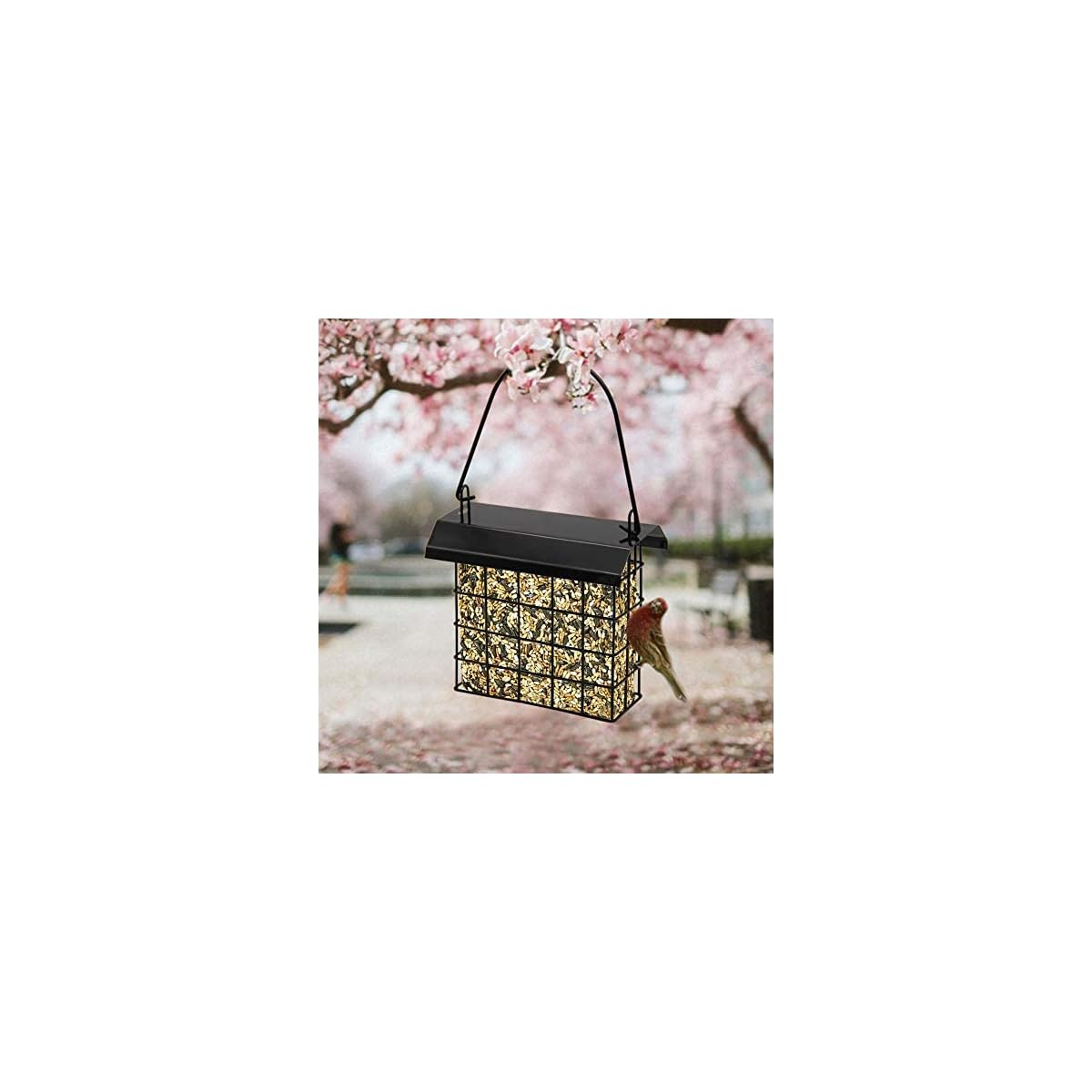 FORUP Suet Bird Feeder, Hanging Suet Feeder, Single Suet Cake Bird Feeder, One Suet Capacity - imagen de detalle 2