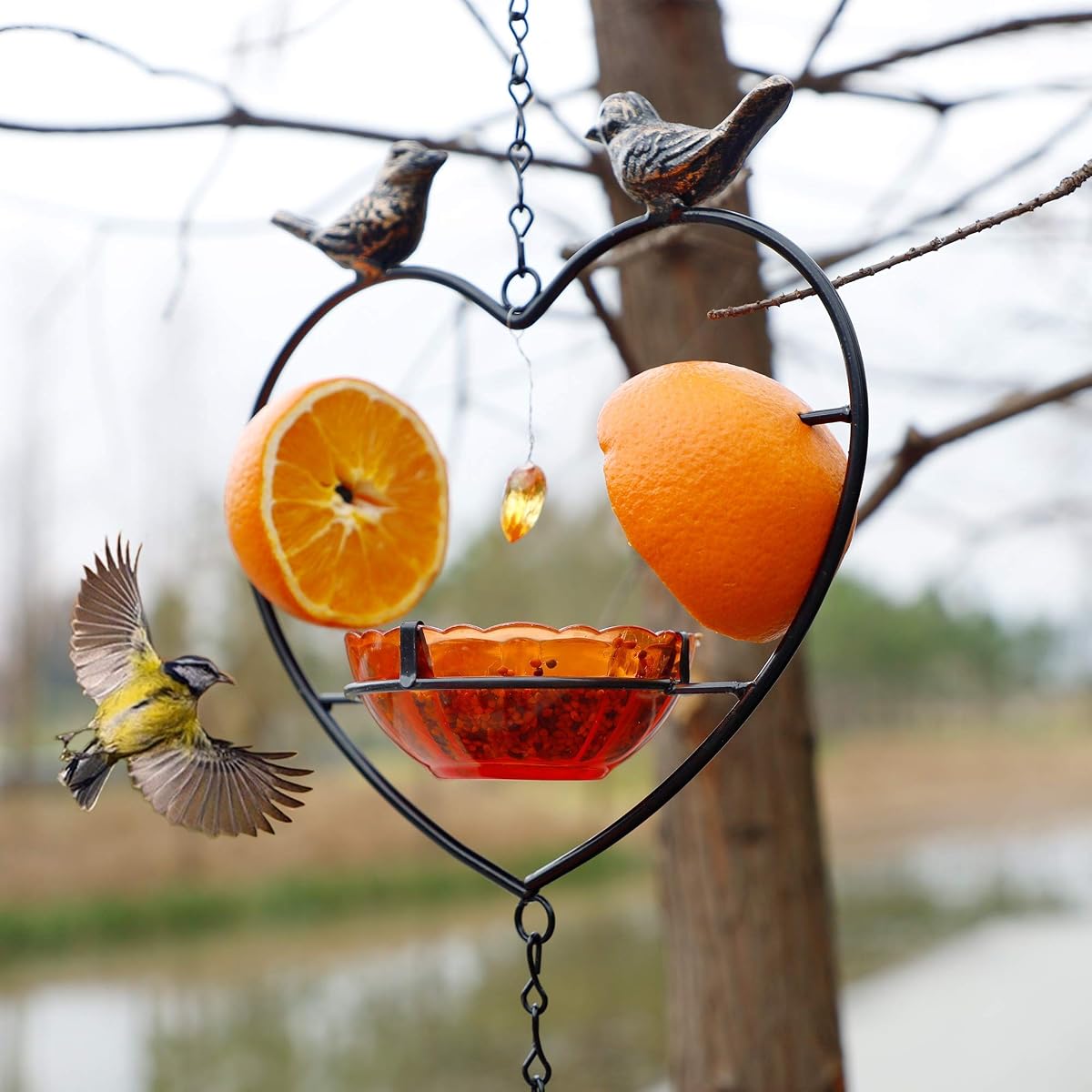 FORUP Oriole Bird Feeder for Outdoors Jelly and Oranges, Orange Fruit Oriole Jelly Bird Feeder, Outdoor Garden Metal Hanging Drinking Grape Jelly Container Hummingbird Feeder, Heart Shape - imagem de detalhe 4