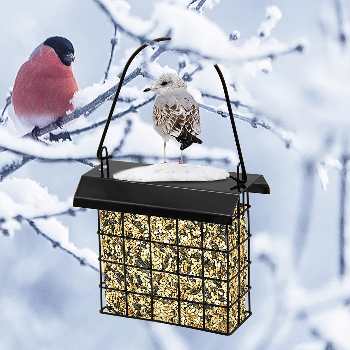 FORUP 2 Pack Suet Bird Feeder, Hanging Suet Feeder, Single Suet Cake Bird Feeder, One Suet Capacity - detail image 6