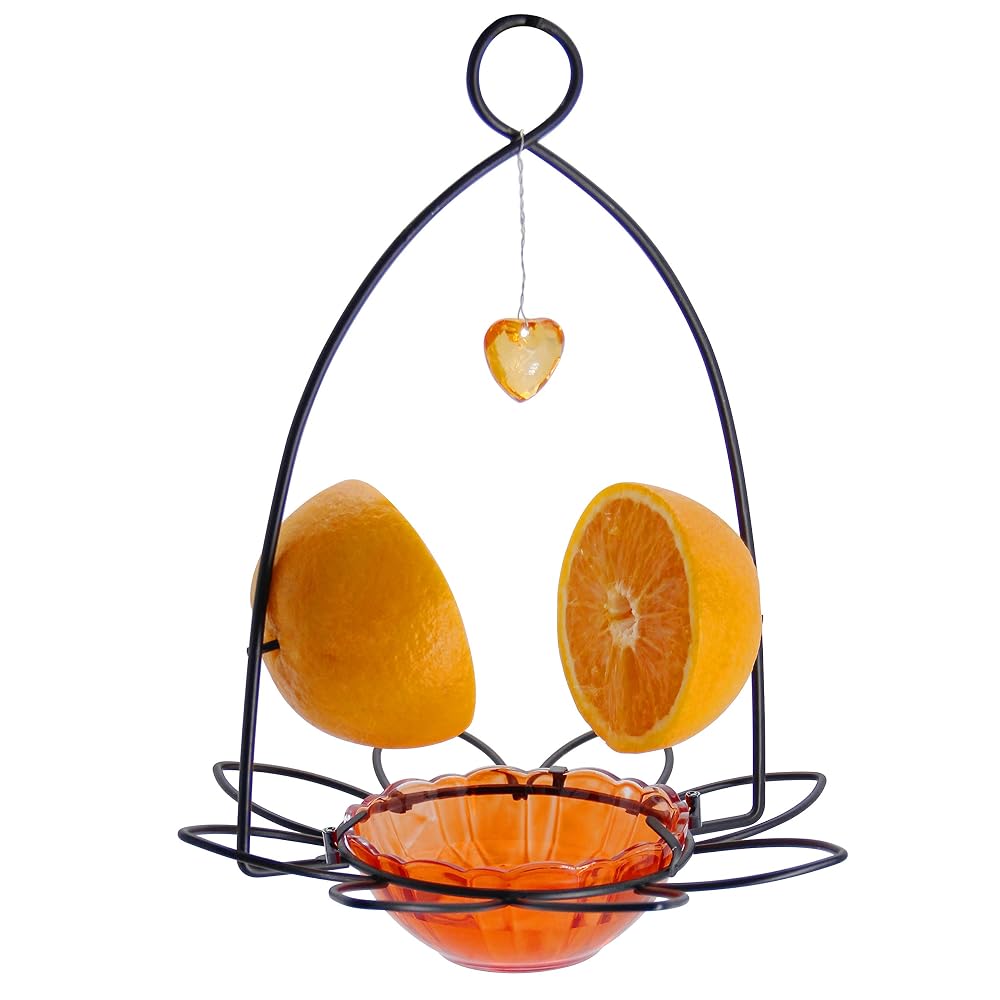 FORUP Oriole Bird Feeder, Orange Fruit Oriole Feeder