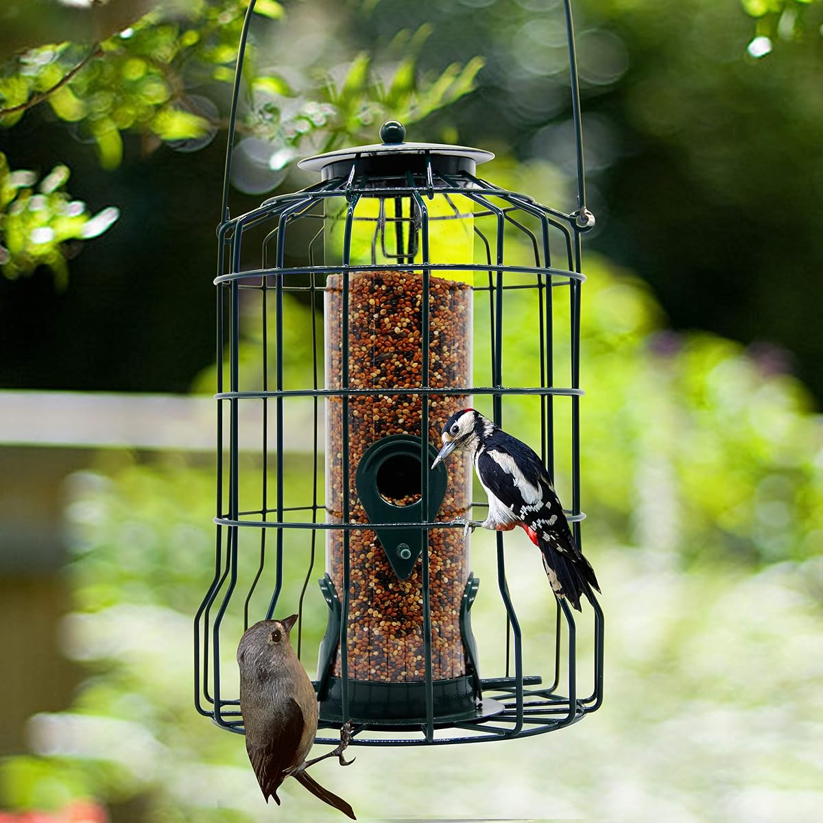 FORUP Caged Tube Feeder, Squirrel Proof Wild Bird Feeder, Outdoor Birdfeeder with Large Metal Seed Guard Deterrent for Large Birds, Green - imagen de detalle 5