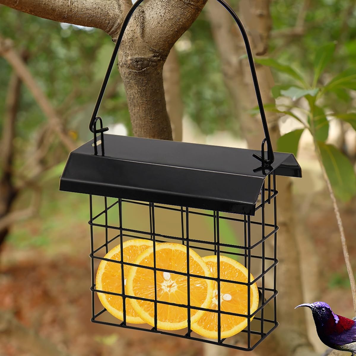 FORUP Suet Bird Feeder, Hanging Suet Feeder, Single Suet Cake Bird Feeder, One Suet Capacity, 2 Pack - imagen de detalle 3