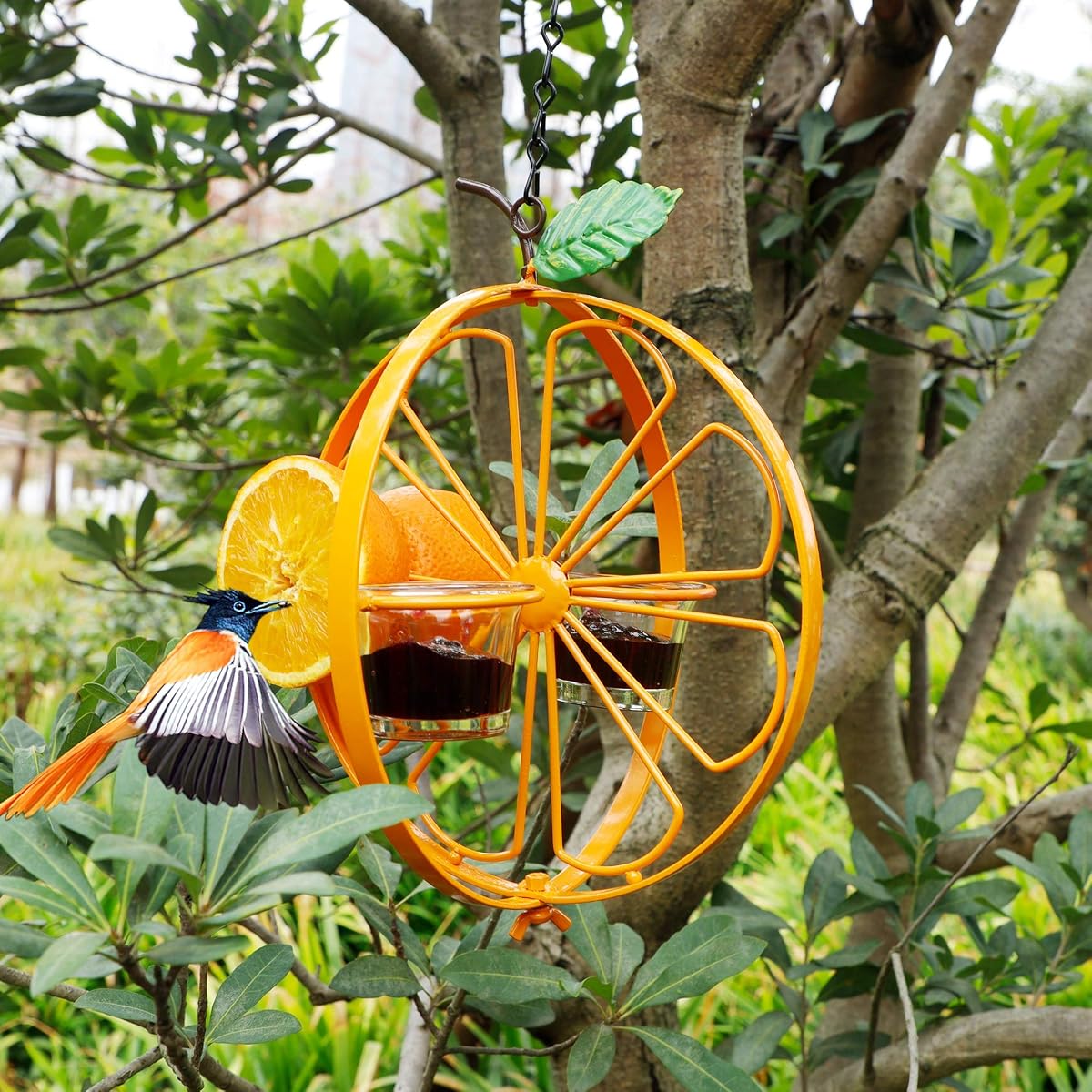 FORUP Oriole Bird Feeder for Outdoors Jelly and Oranges, Orange Fruit Oriole Jelly Bird Feeder, Outdoor Garden Metal Hanging Drinking Grape Jelly Container Hummingbird Feeder - imagem de detalhe 3