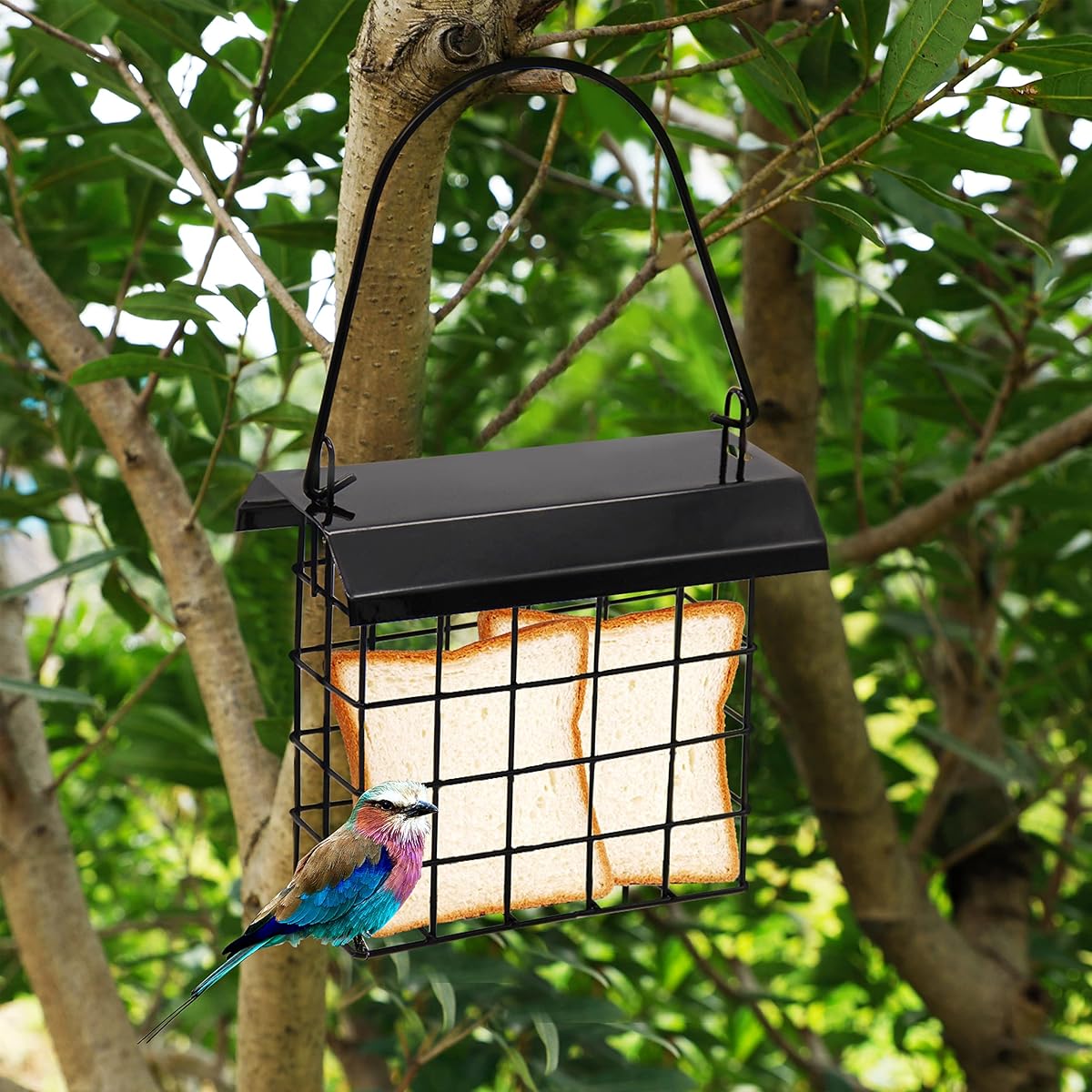 FORUP Suet Bird Feeder, Hanging Suet Feeder, Single Suet Cake Bird Feeder, One Suet Capacity, 2 Pack - imagen de detalle 5