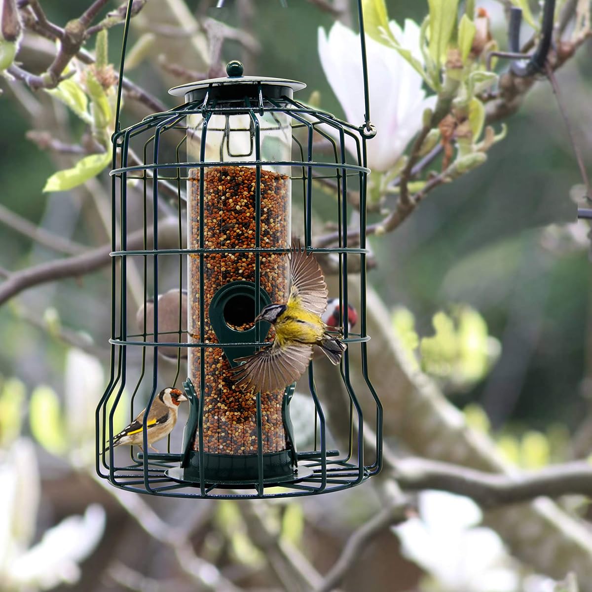 FORUP Caged Tube Feeder, Squirrel Proof Wild Bird Feeder, Outdoor Birdfeeder with Large Metal Seed Guard Deterrent for Large Birds, Green - imagen de detalle 6