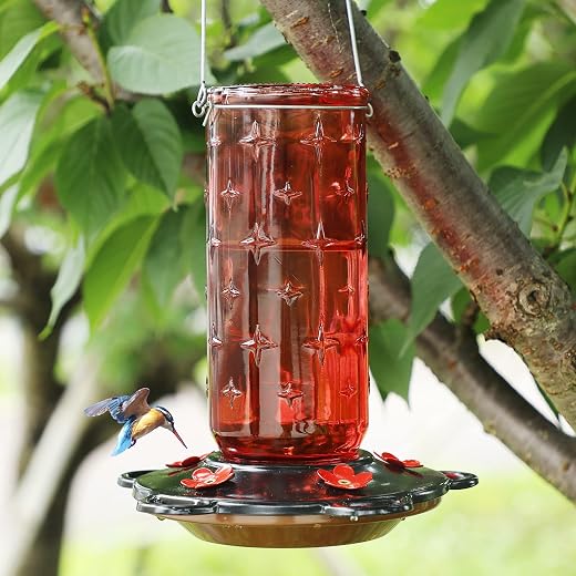 FORUP 32 Ounces Glass Hummingbird Feeders for Outdoors, Hanging Hummingbird Bird Feeder for Outdoor Garden Tree Yard Outside Decoration, Clear