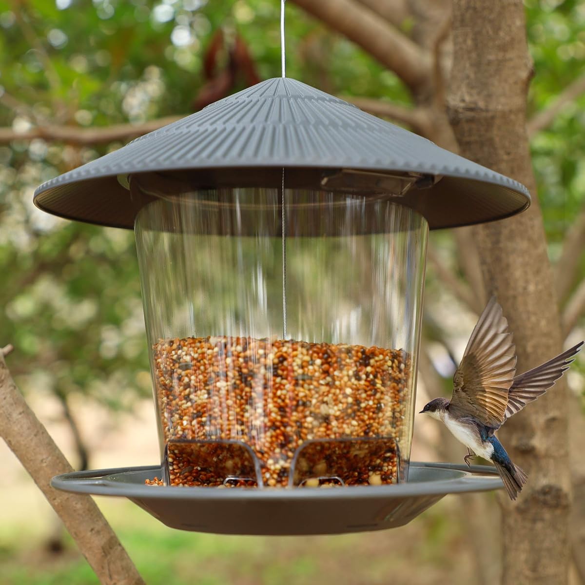 FORUP Panorama Bird Feeder, Hanging Wild Bird Feeder with Round Shaped Roof, Gazebo Bird Feeder for Outside Garden Yard Decoration, Grey - detail image 3