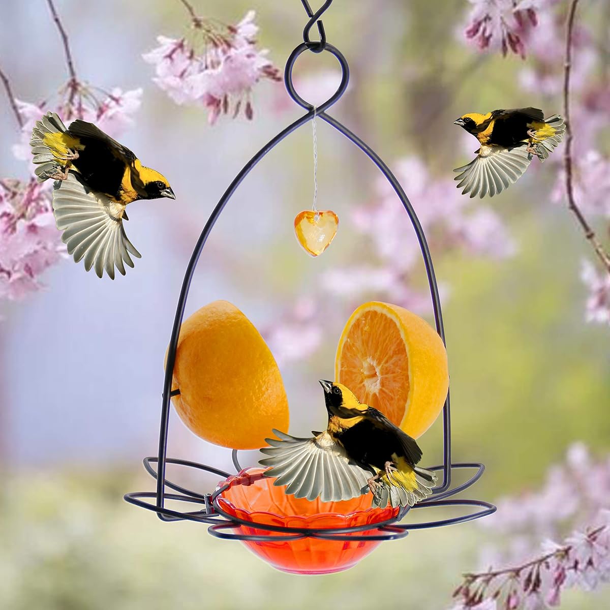 FORUP Oriole Bird Feeder, Orange Fruit Oriole Feeder - 细节图 4