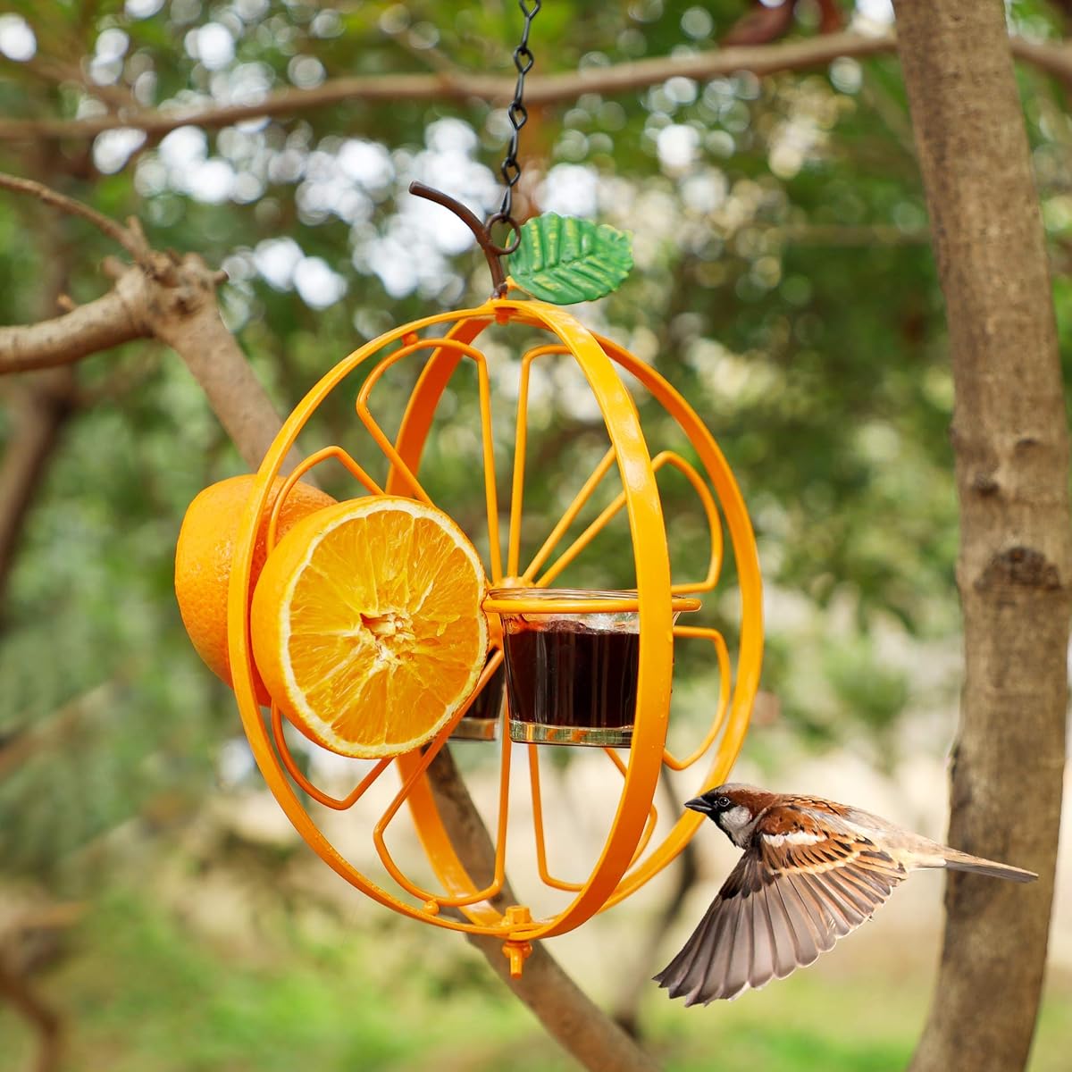 FORUP Oriole Bird Feeder for Outdoors Jelly and Oranges, Orange Fruit Oriole Jelly Bird Feeder, Outdoor Garden Metal Hanging Drinking Grape Jelly Container Hummingbird Feeder - imagem de detalhe 6