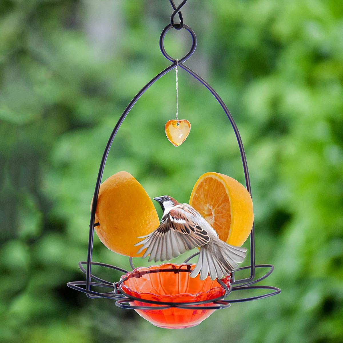 FORUP Oriole Bird Feeder, Orange Fruit Oriole Feeder - 细节图 5