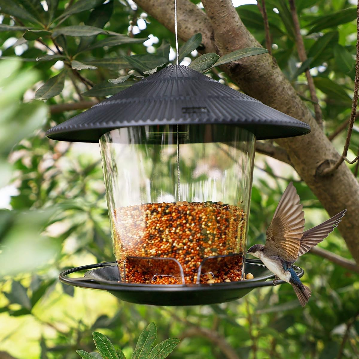 FORUP Panorama Bird Feeder, Hanging Wild Bird Feeder with Round Shaped Roof, Gazebo Bird Feeder for Outside Garden Yard Decoration, Black - imagem de detalhe 4