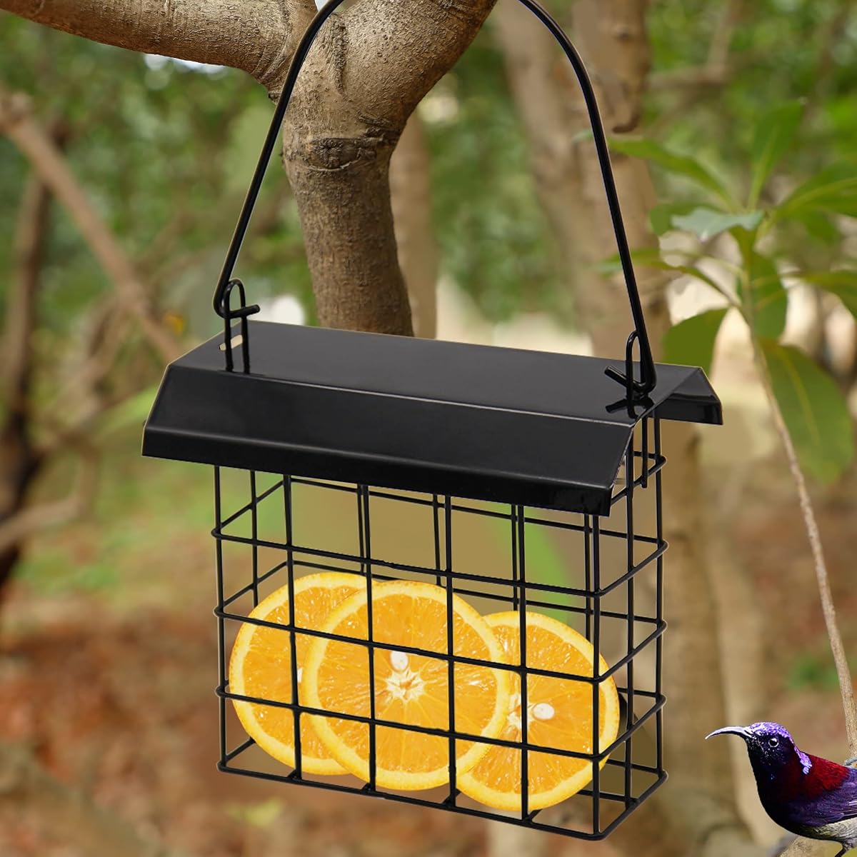 FORUP 2 Pack Suet Bird Feeder, Hanging Suet Feeder, Single Suet Cake Bird Feeder, One Suet Capacity - detail image 3