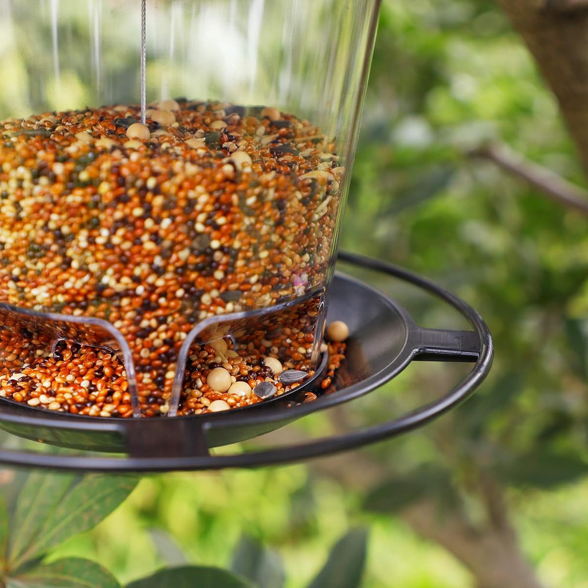 FORUP Panorama Bird Feeder, Hanging Wild Bird Feeder with Round Shaped Roof, Gazebo Bird Feeder for Outside Garden Yard Decoration, Black - imagem de detalhe 5