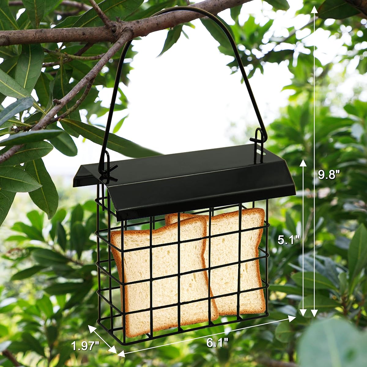 FORUP Suet Bird Feeder, Hanging Suet Feeder, Single Suet Cake Bird Feeder, One Suet Capacity, 2 Pack - imagen de detalle 1