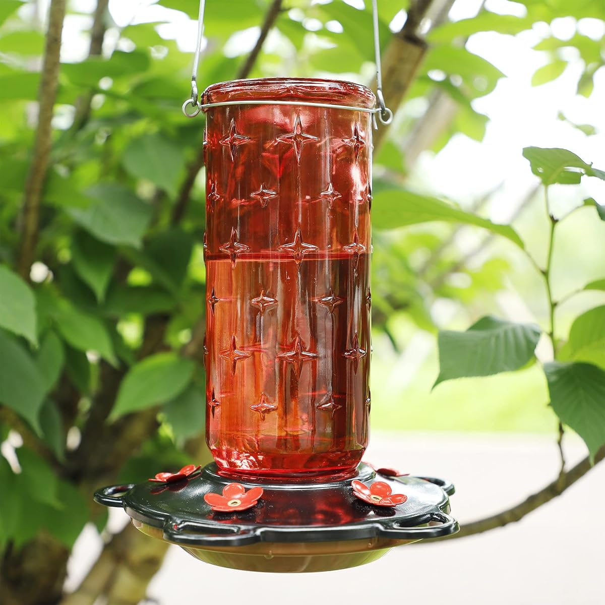 FORUP 32 Ounces Glass Hummingbird Feeders for Outdoors, Hanging Hummingbird Bird Feeder for Outdoor Garden Tree Yard Outside Decoration, Clear - imagen de detalle 5