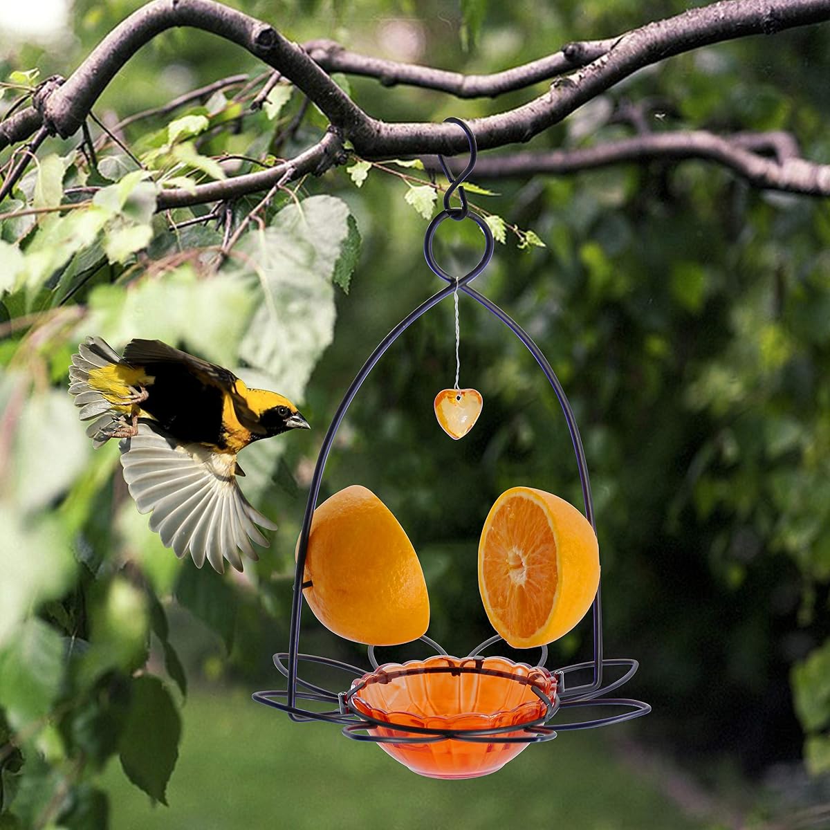 FORUP Oriole Bird Feeder, Orange Fruit Oriole Feeder - 细节图 6