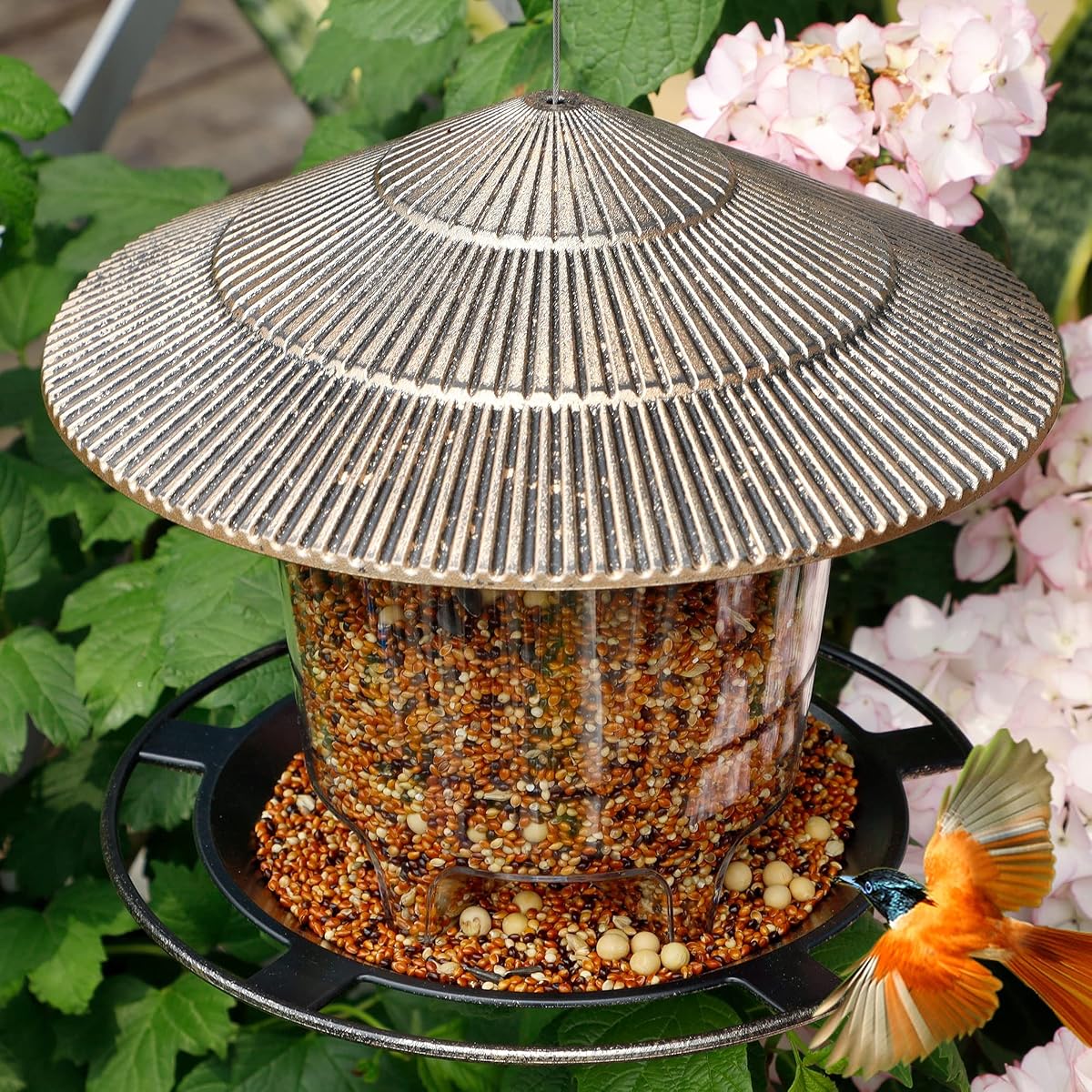 FORUP Panorama Bird Feeder, Hanging Wild Bird Feeder with Round Shaped Roof, Gazebo Bird Feeder for Outside Garden Yard Decoration, Bronze - imagem de detalhe 5
