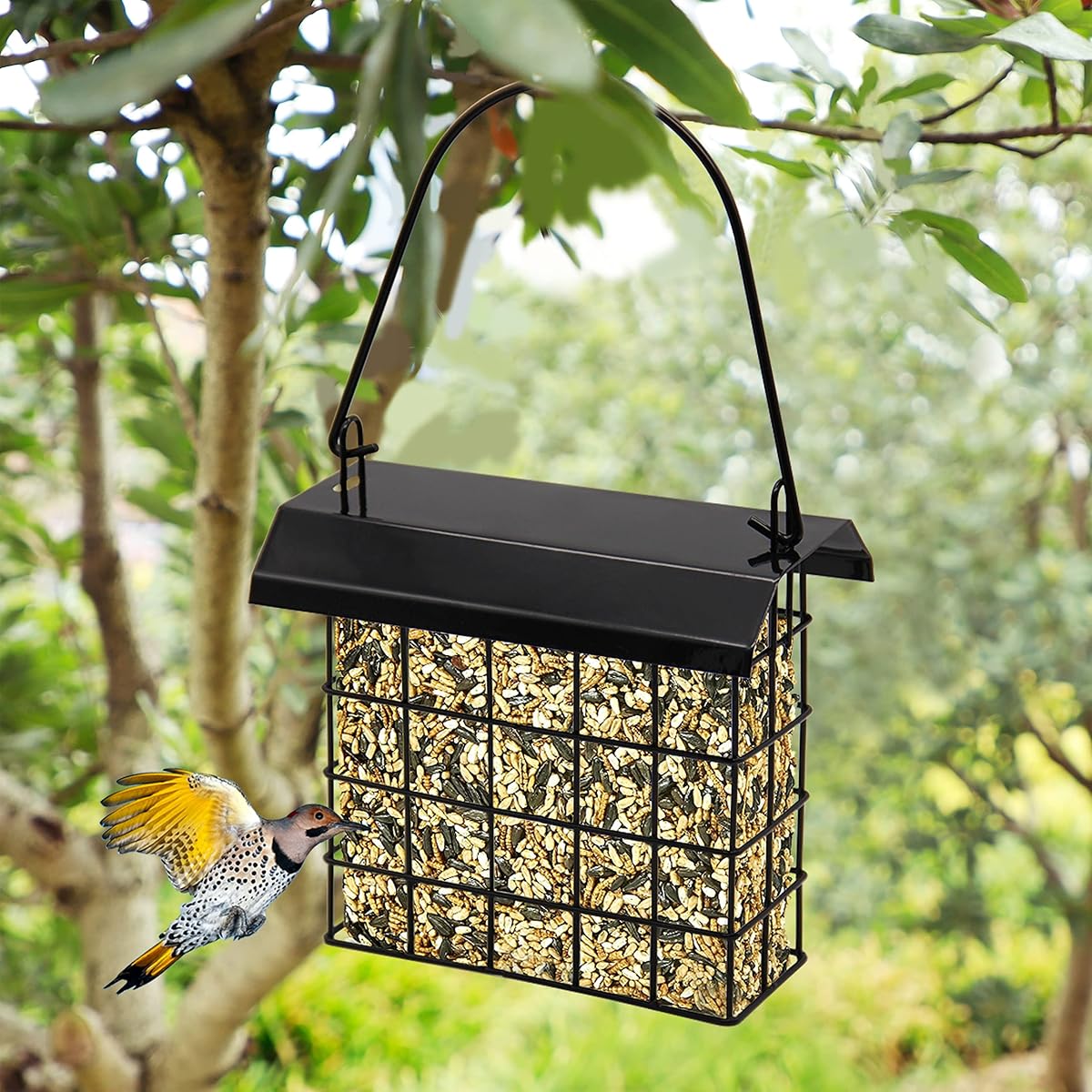 FORUP Suet Bird Feeder, Hanging Suet Feeder, Single Suet Cake Bird Feeder, One Suet Capacity, 2 Pack - imagen de detalle 4