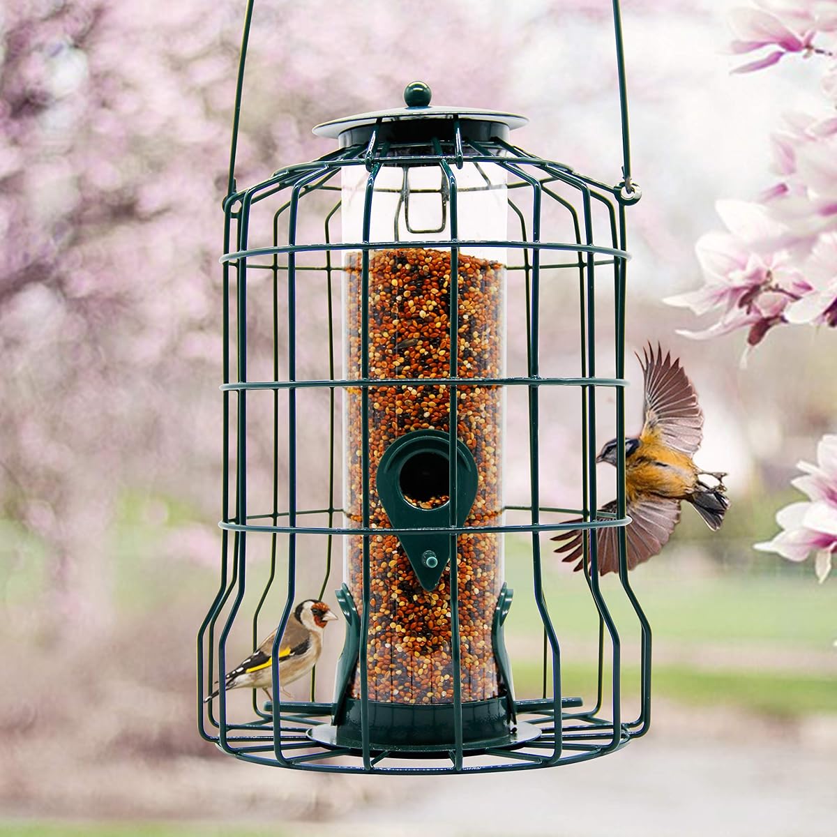 FORUP Caged Tube Feeder, Squirrel Proof Wild Bird Feeder, Outdoor Birdfeeder with Large Metal Seed Guard Deterrent for Large Birds, Green - imagen de detalle 4